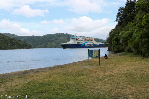 Ferry from Wellington Arriving at Picton Docks During New Zealand Public Holidays