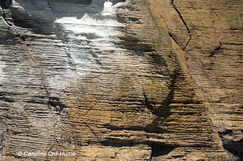 Punakaiki Pancake Rocks Geology, Limestone and Colours, West Coast, Paparoa National Park, New Zealand Punakaiki Pancake Rocks Geology, Limestone and Colours, West Coast, Paparoa National Park, New Zealand