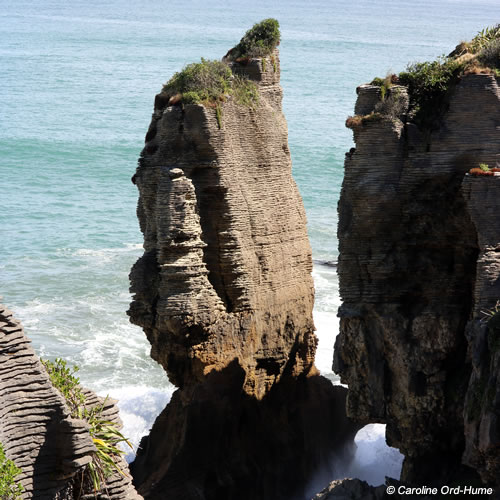 Sea Erroded Limestone Pancake Rocks stack with native flora growing on the rocks at Dolomite Point, Punakaiki, West Coast, New Zealand Sea Erroded Limestone Pancake Rocks stack with native flora growing on the rocks at Dolomite Point, Punakaiki, West Coast, New Zealand
