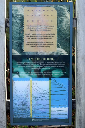 Punakaiki Pancake Rocks Stylobedding Layered Limestones Geology in New Zealand