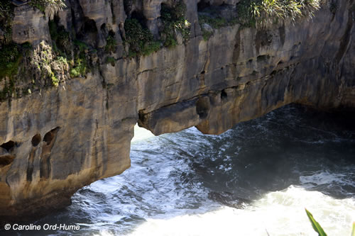 Tidal surge hole at Punakaiki Pancake Rocks, Dolomite Point on the Paparoa National Park coast, New Zealand