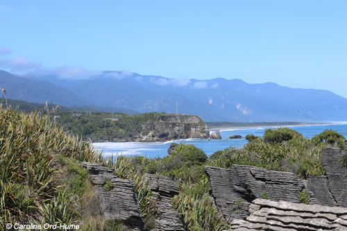 View down the South Island West Coast from Punakaiki Pancake Rocks Track, New Zealand View down the South Island West Coast from Punakaiki Pancake Rocks Track, New Zealand