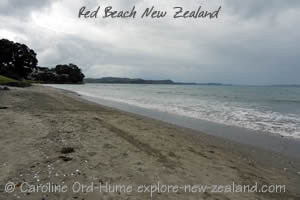 Red Beach Auckland Hibiscus Coast New Zealand
