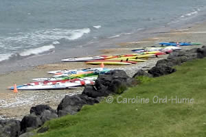 Red Beach, Auckland Surf Beach, New Zealand