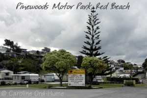 Pinewoods Motor Park, Red Beach, Auckland, NZ