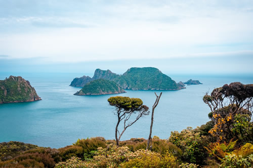 Stewart Island view of islands, Southland, New Zealand