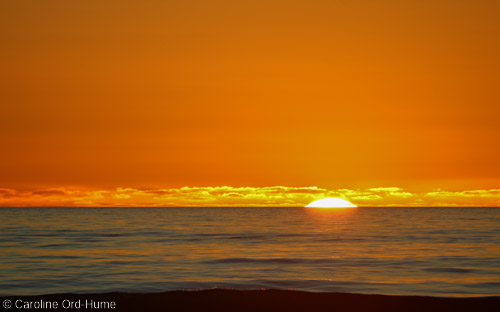 New Zealand sunset glowing orange setting over the ocean, West Coast, South Island, NZ