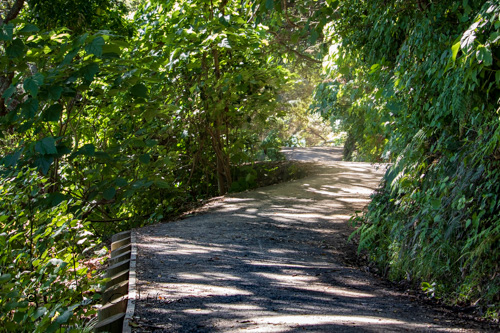 Mount Maunganui Walking Track, Tauranga, Bay of Plenty