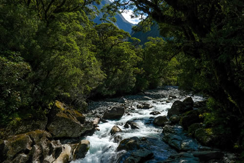 River, Te Anau to Milford, Fiordland, Southland New Zealand