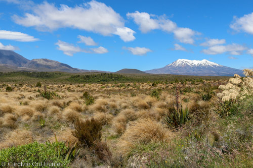 Tongariro Northern Circuit, Mount Ruapehu New Zealand Walk, North Island National Park