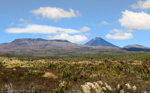 Tongariro Trek Landscape and Mountains in November, Tongariro National Park, New Zealand