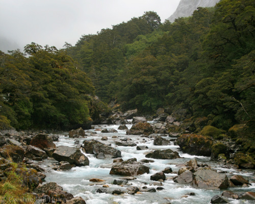 Fiordland River Scenery, Southland, South Island, New Zealand