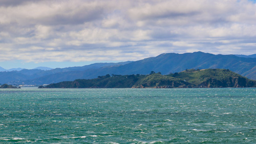 Wellington harbour landscape view to the hills from a ferry, New Zealand
