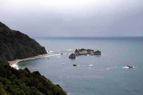 West Coast - Westland National Park