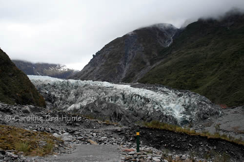 Westland Tai Poutini National Park Glaciers - Fox Glacier Westland Tai Poutini National Park Glaciers - Fox Glacier