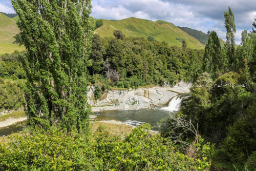Whanganui River in Whanganui National Park New Zealand