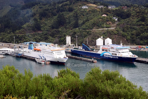 Bluebridge and Interislander Ferries Docked in Picton Port, South Island, New Zealand